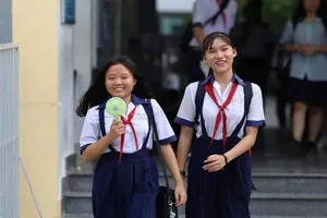 Gợi ý giải đề thi môn Văn tuyển sinh lớp 10 tại TP.HCM