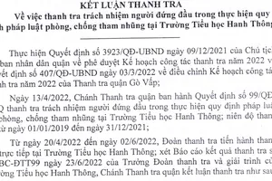 Một trường tiểu học tại TP.HCM chi sai gần 1 tỷ đồng