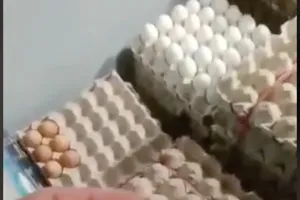 Nhà trường trả lời việc phụ huynh TP.HCM bức xúc về suất ăn bán trú của con