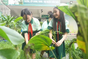 Học sinh TP.HCM xắn quần, lội bùn cấy lúa giữa sân trường 