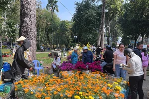 Chợ hoa ngày 29 tết: Người dân đổ xô mua hoa giảm giá