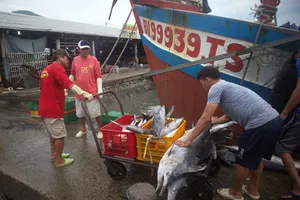 TP.HCM mở rộng mô hình 'cà phê sáng cùng ngư dân', tuyên truyền về IUU