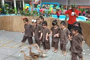 Sở GD&ĐT TP.HCM chỉ đạo siết chặt an toàn bơi và hoạt động ngoại khóa