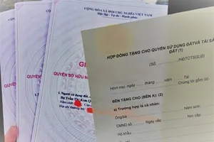 Anh em ruột muốn đứng tên chung trên giấy chứng nhận quyền sử dụng đất phải làm sao?