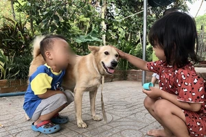 Đừng để mất tình làng xóm vì chuyện... "phân chó nhà ai?"