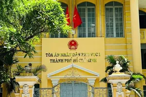 Tòa nào giải quyết vụ việc phá sản, sở hữu trí tuệ?