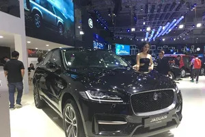 Lý giải nguyên nhân xe nhập khẩu giảm 'tụt dốc'