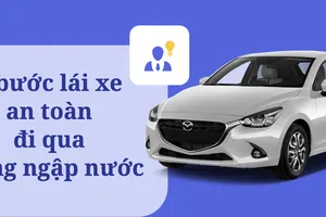 Infographic: 8 bước quan trọng khi lái xe qua vùng ngập nước