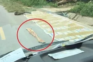 Tài xế bức xúc khi đi qua tuyến đường phơi lúa kèm tấm gỗ gắn đinh