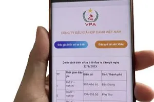 Từ 1-9 có quy định mới về đấu giá tài sản, đấu giá biển số ô tô có thay đổi?