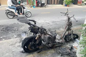 'Dân chơi' xe điện khuyên gì sau vụ cháy xe ở quận Tân Phú, TP.HCM?