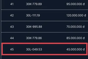 Xôn xao khi biển số 49.53 được đấu giá 45 triệu đồng