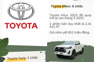 Hãng xe nào đứng đầu trong tốp ô tô có doanh số 'dưới đáy'