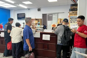 Lý do thiếu phôi giấy phép lái xe 