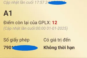Chưa bị trừ hết 12 điểm giấy phép lái xe thì khi nào được phục hồi lại?