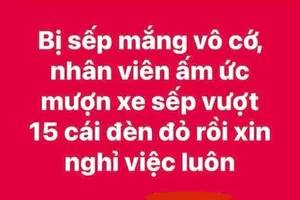'Mượn xe của sếp vượt 15 chiếc đèn đỏ': Ai là người bị xử phạt?