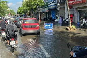 Xe điện bị ngập có gây điện giật không?