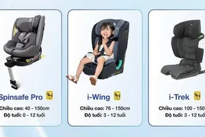 Chọn ghế an toàn cho trẻ em như thế nào để không bị xử phạt từ 1-1-2026?