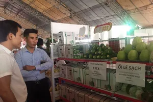 Hơn 22.000 tỉ đồng tiêu thụ hàng TP và các tỉnh