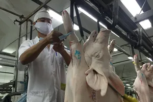 Hàng trăm điểm bán thịt heo có 'chứng minh thư' 