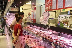 Khủng hoảng heo thịt: Heo giống cũng... lâm nạn