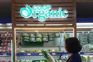 Rau hữu cơ giá 100.000 đồng/kg vào siêu thị