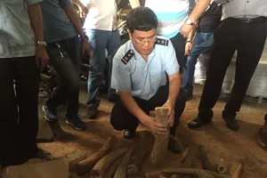 Phát hiện hơn 1.000 kg ngà voi núp trong... thùng phuy 