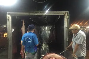 Cấm cửa heo không rõ nguồn gốc vào chợ