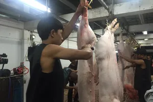 Giữa đêm kiểm tra 'lý lịch' heo vào chợ tại TP.HCM