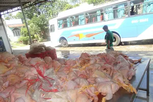 Gần Tết: Hạt dưa, hướng dương... lậu lại tung hoành 