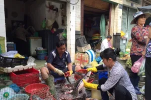 Thực phẩm, hoa Tết đang tăng giá