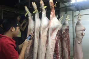 Heo giá rẻ bèo dội chợ Tết, mang về biếu tặng