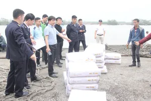 170 tấn thịt trâu Trung Quốc 'mập mờ' suýt vào Việt Nam