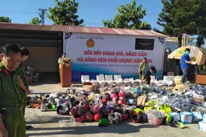 Tiêu hủy hàng giả trị giá 3 tỉ đồng