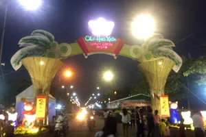 Khai mạc Chợ hoa xuân Bình Điền 2019