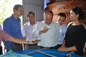 Lãnh đạo Bộ NN&PTNT trong một lần thăm nhà thùng nước mắm ở Phú Quốc - ảnh DƯƠNG ĐÔNG