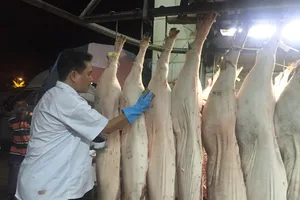 Mỗi năm dân TP.HCM chi hơn 18.000 tỉ đồng mua thịt heo