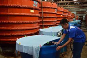 Nhà thùng nước mắm truyền thống tại Phú Quốc, Kiên Giang- ảnh DƯƠNG ĐÔNG