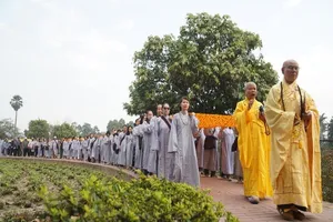 Trải nghiệm tour bay thẳng hành hương về đất Phật