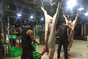 Một số huyện ở Đồng Nai công bố dịch tả heo Châu Phi