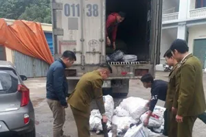 Bị phạt 7 triệu đồng do chở heo mắc bệnh tả Châu Phi