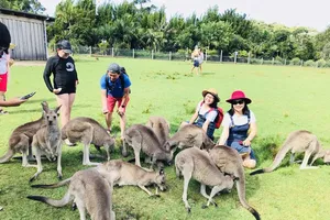 Nhiều tour hè dành ưu đãi đặc biệt cho trẻ em