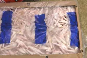 Tiêu hủy 58 tấn chân gà đông lạnh bị hư hỏng