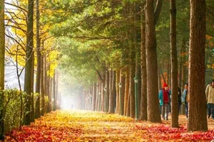 Khách lợi dụng visa năm năm để bỏ trốn, một DN bị vạ lây