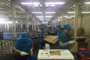 Cục Quản lý thị trường nói gì về công ty liên quan Asanzo?