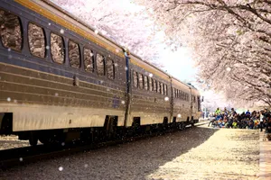 Hàn Quốc muốn đón hơn nửa triệu khách du lịch Việt