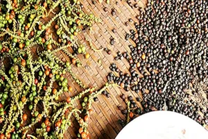 Một công ty Việt nghi bị lừa hơn 61.000 USD