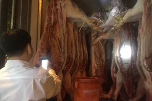 Vì sao nhiều sàn giao dịch hàng hóa ở Việt Nam sụp đổ?