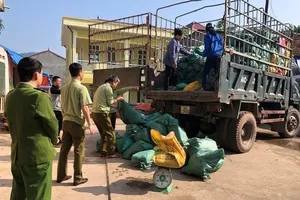 Phát hiện xuất lậu chân heo, lòng heo... sang Trung Quốc