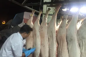 Kiến nghị miễn thuế với thịt heo nhập khẩu để giảm cơn sốt